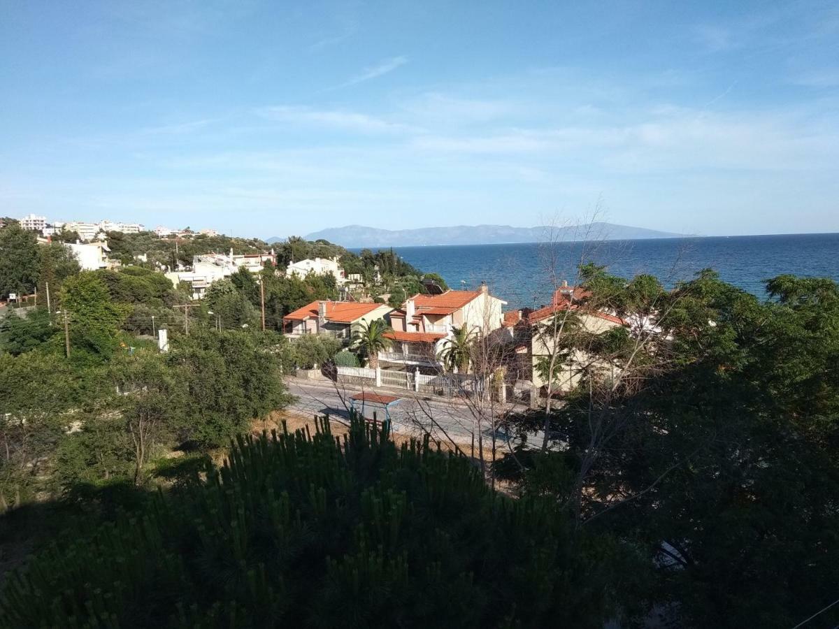 Palio Kavala Villa PalaiónTsiflíkion Dış mekan fotoğraf